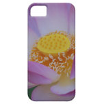 Lotus flower and its meaning iPhone 5 cover