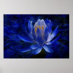 Lotus flower and its meaning posters