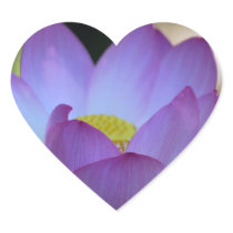 Lotus flower and its meaning stickers