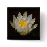 Lotus flower and meaning buttons