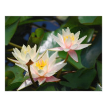 Lotus flower and meaning custom invites