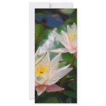 Lotus flower and meaning customised rack card