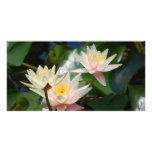 Lotus flower and meaning customized photo card