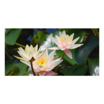 Lotus flower and meaning customized photo card