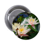 Lotus flower and meaning pinback buttons