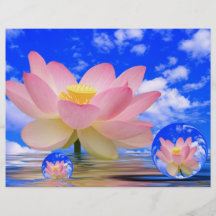Lotus Flower Born in Water Flyer Design