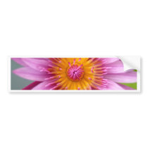 lotus  flower bumper stickers