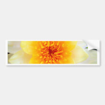 lotus  flower bumper sticker