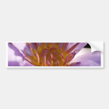 lotus  flower bumper stickers