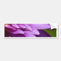 lotus  flower bumper stickers