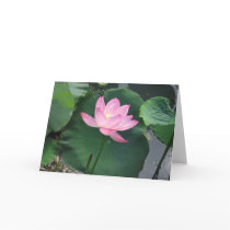 Lotus flower greeting card
