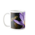 lotus  flower mugs