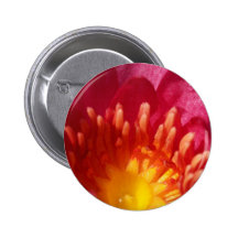 lotus  flower pinback buttons