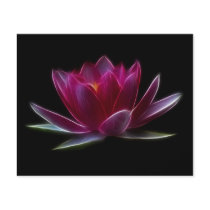 Lotus Flower Water Plant Full Colour Flyer