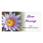 Lotus Flower/Waterlily