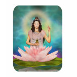 Lotus Light t-shirts