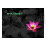 Lotus Messages Card