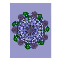 Lotus Star Postcard