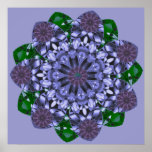 Lotus Star Print