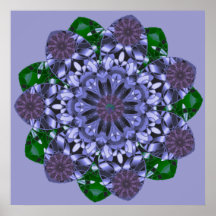 Lotus Star Print