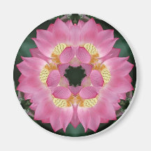 Lotus Starburst Refrigerator Magnet