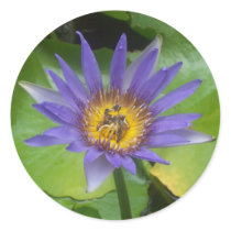 Lotus Round Stickers