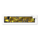 LOUISAINTITUDE STATE BUMPER STICKER bumper stickers