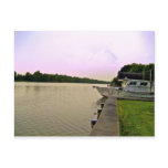 Louisiana Bayou postcards