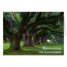 LOUISIANA GREETING CARD DESIGNS