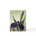 Louisiana Iris Note Card