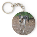Louisiana Leopard Dog keychains