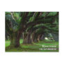 LOUISIANA LIVE OAK TREES POSTCARD