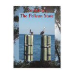 Louisiana The Pelican State Post Cards