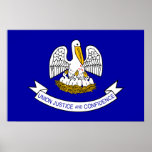 Louisiana, United States flag Poster