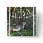 LOUISVILLE ZOO ANIMAL LINEUP CRANE, PEACOCK buttons