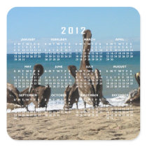 Lounging Beach Pelicans; 2012 Calendar Sticker