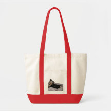 lounging high rez bags