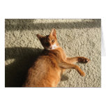 Lounging Kitty Card