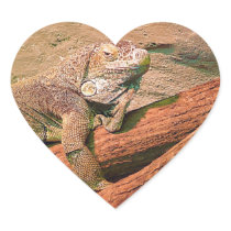 Lounging Lizard
