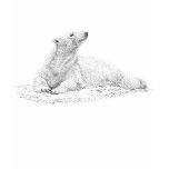 Lounging Polar Bear t-shirts