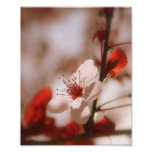 Love 8x10 Photo