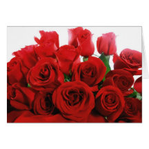 "Love Always" Red Rose Card