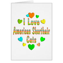 Love American Shorthair Cats Greeting Card
