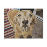 Love and Loyalty postcard
