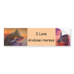 Love Arabians Bumper Sticker bumper stickers