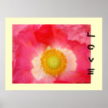 Love art prints Red Oriental Poppy Flower Yellow