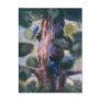Love At First Sight Bird Postcard