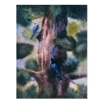Love At First Sight Bird Postcard