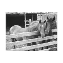 Love at first sight gallery wrap canvas