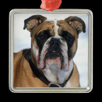 Love At First Sight ornaments
